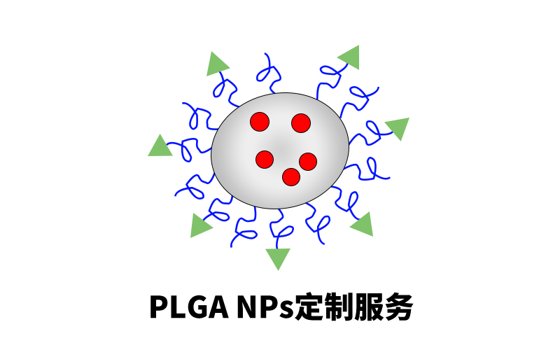 PLGA NPs定制服務(wù)