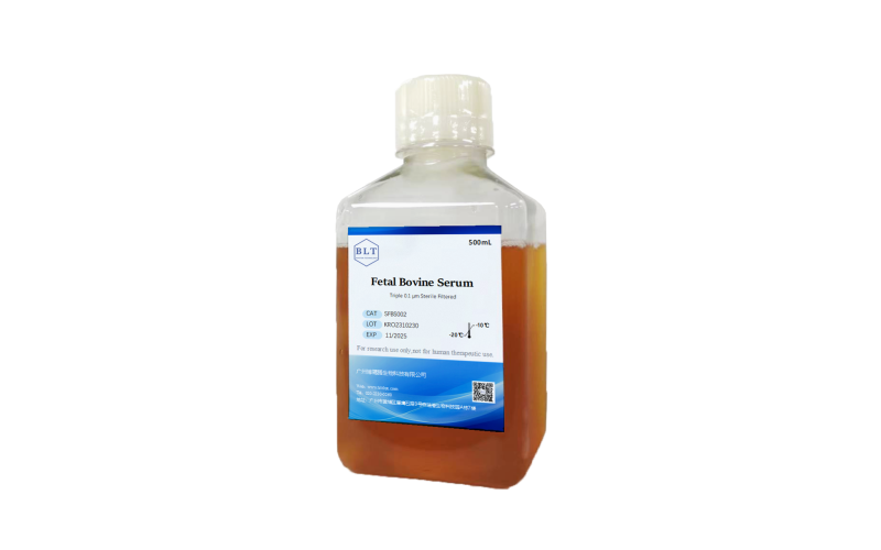胎牛血清（特級）