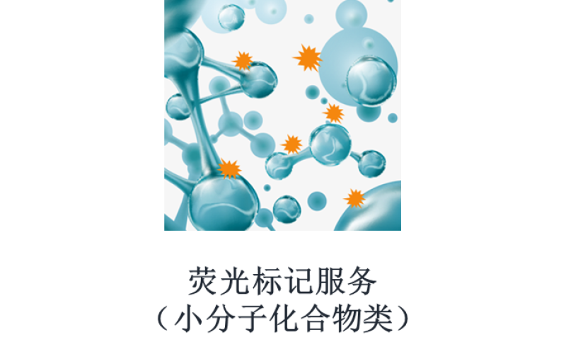 熒光標(biāo)記服務(wù)（小分子化合物類）