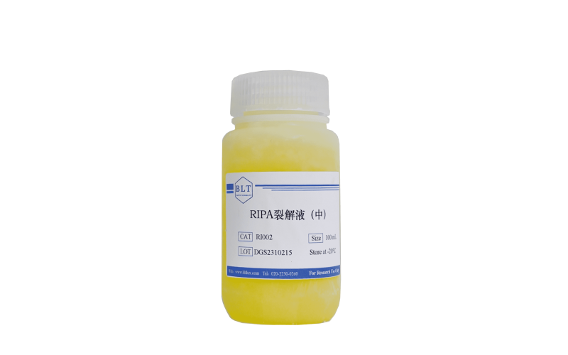 RIPA裂解液