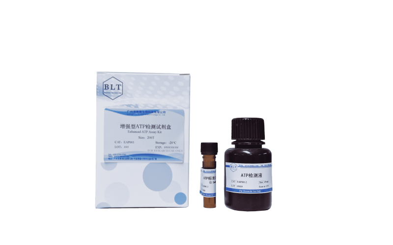 增強型ATP檢測試劑盒