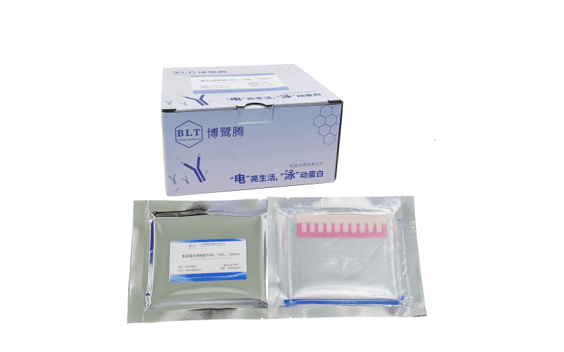 博鷺騰免染預(yù)制膠（Bis-Tris）